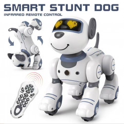 Smart stunt dog